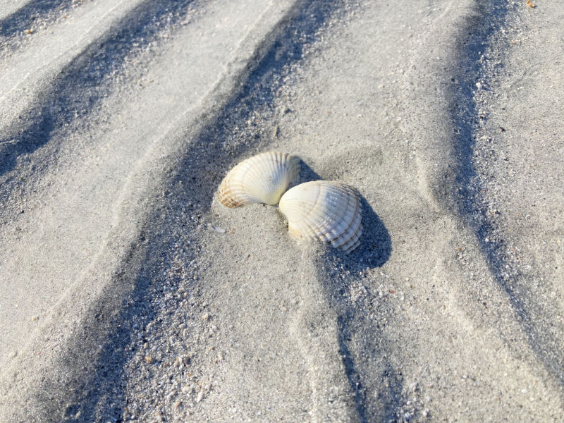 Sand
